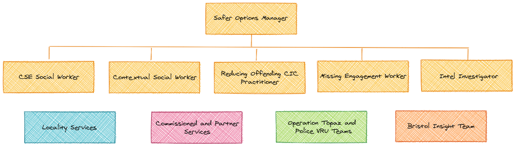 Safer Options Team Structure
