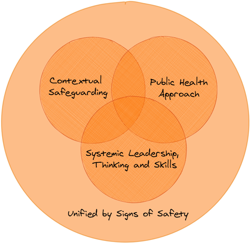 Safer Options Practice Model Diagram